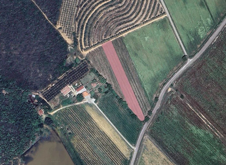 Campo